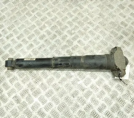 Skoda Enyaq iV Rear shock absorber/damper 1EA512013AE