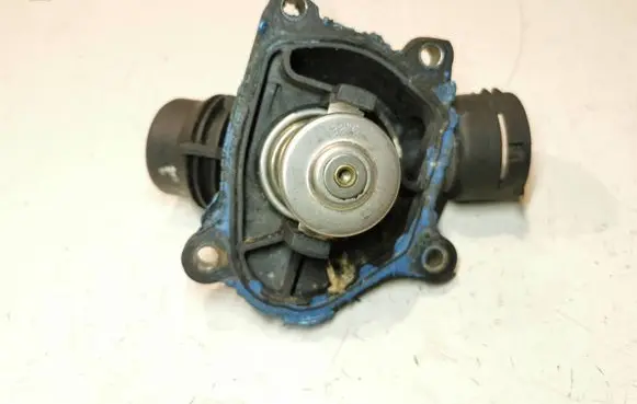 Thermostat/thermostat housing