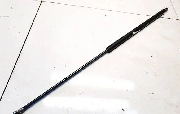Tailgate/trunk strut/damper