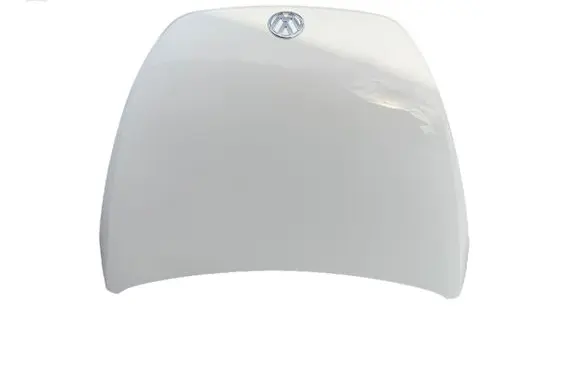 Volkswagen Beetle A5 Engine bonnet/hood 5C5823031a