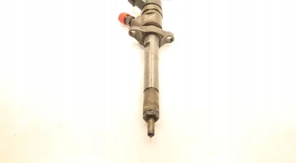 Ford Focus Fuel injector 0445110259