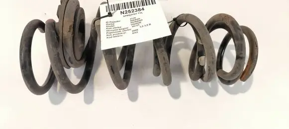 Rear coil spring