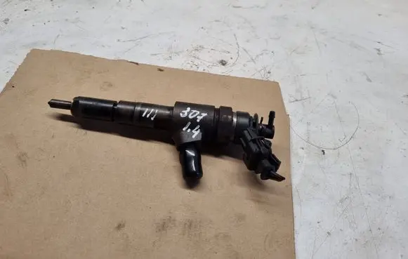 Peugeot 307 Fuel injector 0445110075