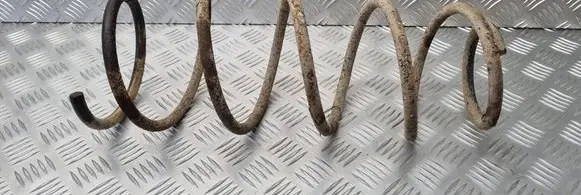 Peugeot 406 Front coil spring