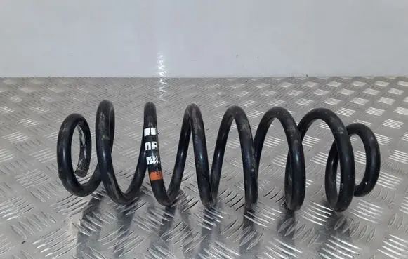 Rear coil spring