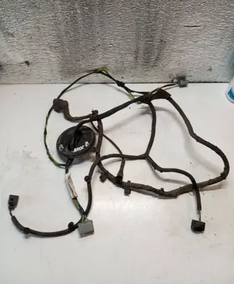 Volvo S80 Other wiring loom 30798837