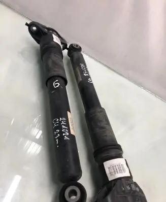 Citroen C4 III e-C4 Rear shock absorber/damper 9842978180