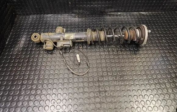 BMW 7 F01 F02 F03 F04 Rear shock absorber/damper 6794138