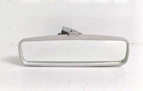 Renault Zoe Rear view mirror (interior) E20205028
