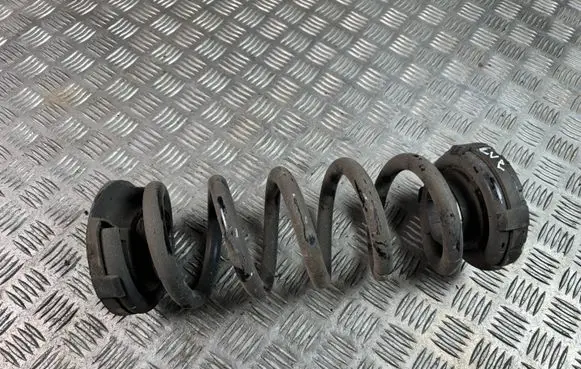 Jaguar F-Pace Rear coil spring L8A25534GB