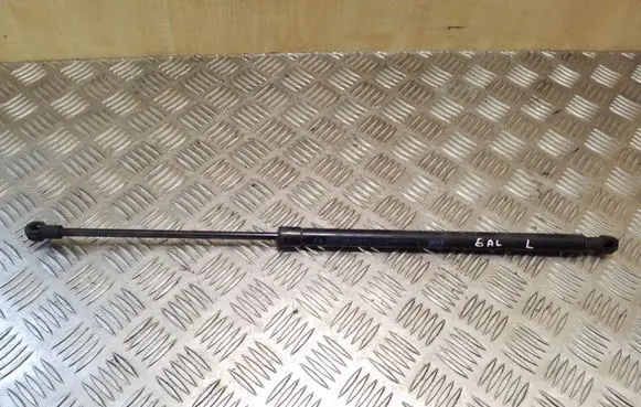 Tailgate/trunk strut/damper