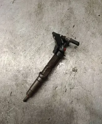 Volkswagen Crafter Fuel injector 0445115029