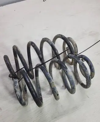Rear coil spring