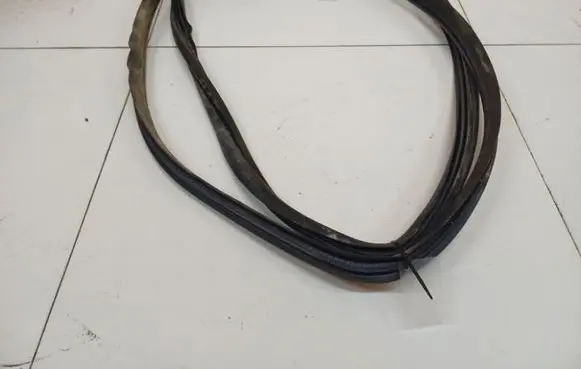 Citroen C8 Rubber seal rear door 