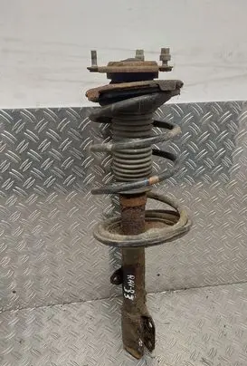 Toyota RAV 4 (XA20) Front shock absorber/damper