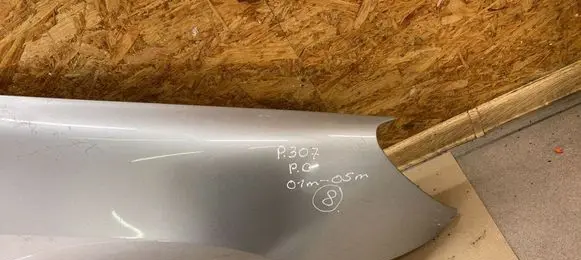 Peugeot 307 Fender