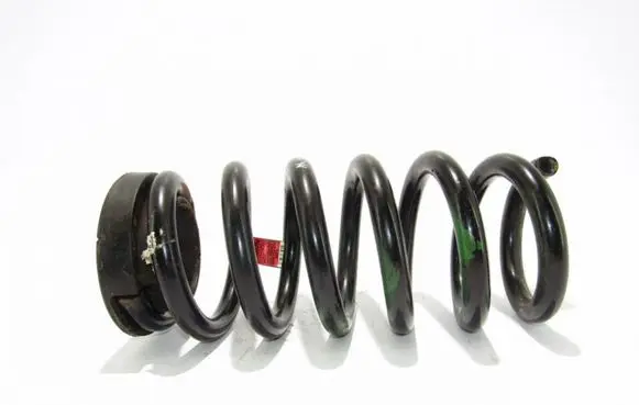Rear coil spring