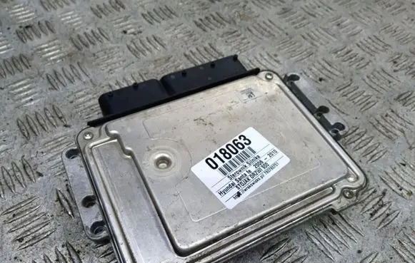 Hyundai Santa Fe Engine control unit/module ECU