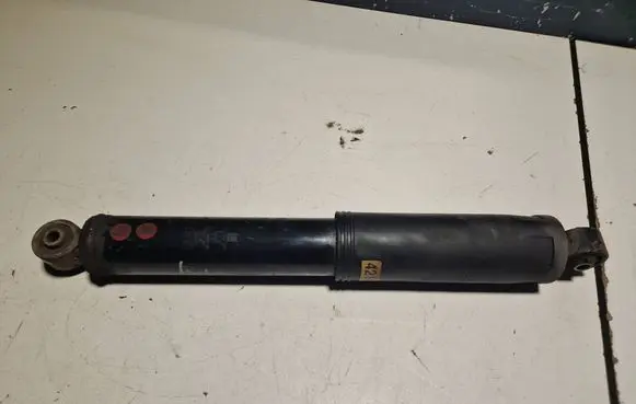Chevrolet Captiva Rear shock absorber/damper 20924216