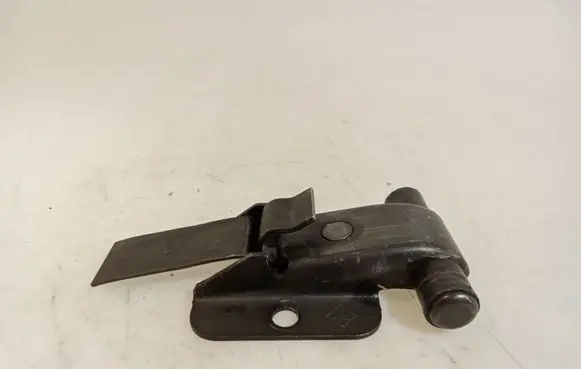 Renault Master III Front door check strap stopper 824300006R