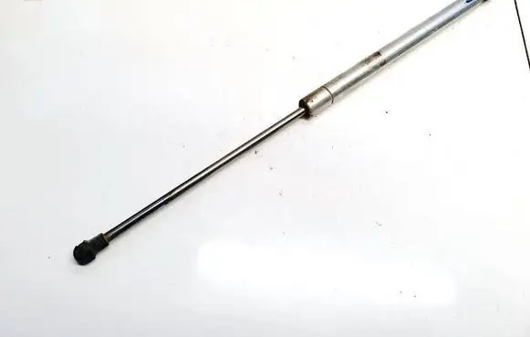 Tailgate/trunk strut/damper