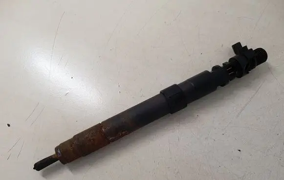 Ford S-MAX Fuel injector 9686191080