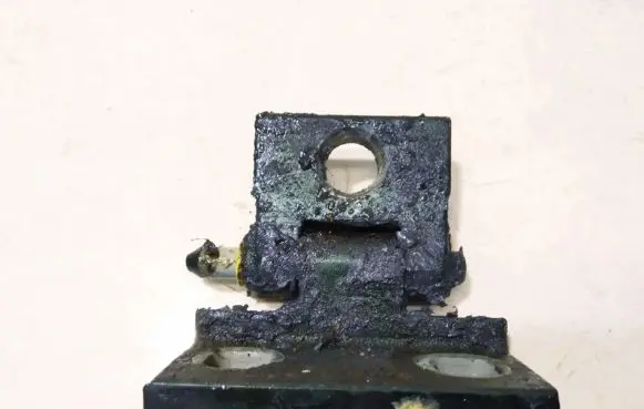 Rear door lower hinge