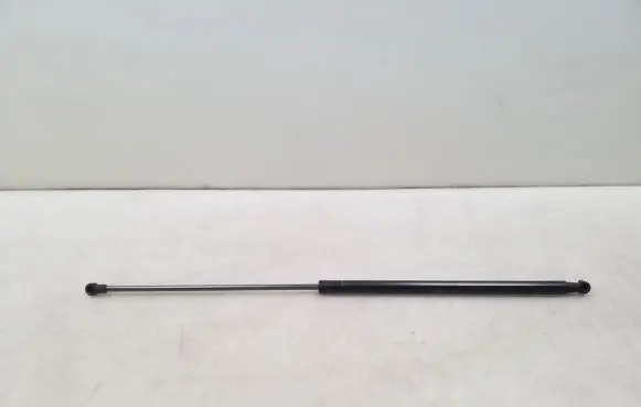 Nissan Juke I F15 Tailgate strut 904501KA1A