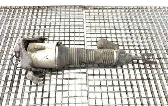 Volkswagen Phaeton Front shock absorber/damper 3D0616039AD