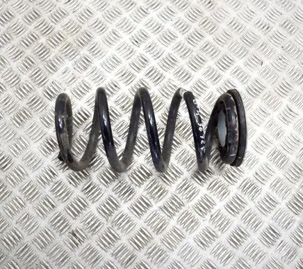 Tesla Model Y Rear coil spring 118847400B
