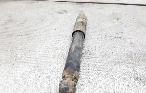 Fiat Doblo Rear shock absorber/damper