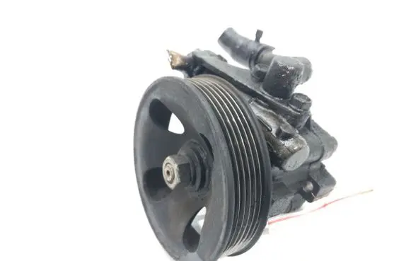Hyundai Santa Fe Power steering pump