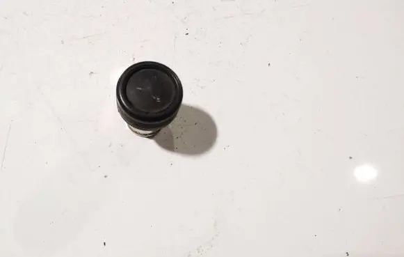 Peugeot 406 Cigarette lighter