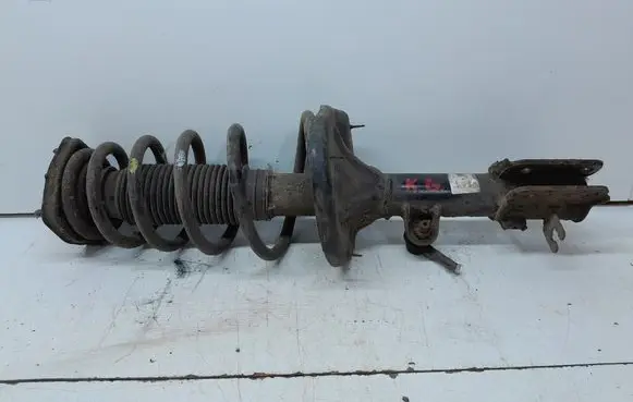 KIA Sportage Rear shock absorber with coil spring 553001F600