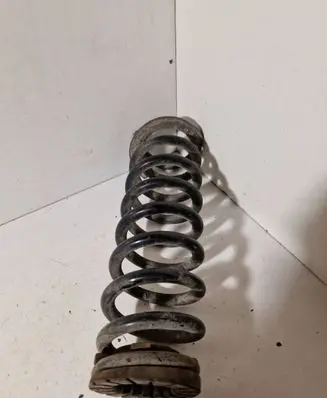 Rear coil spring