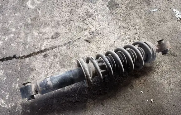 Citroen C6 Rear shock absorber with coil spring 
