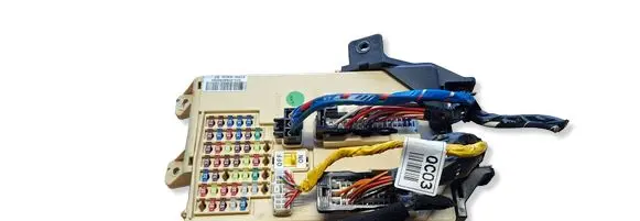 KIA Carens III Fuse module 91950A4610
