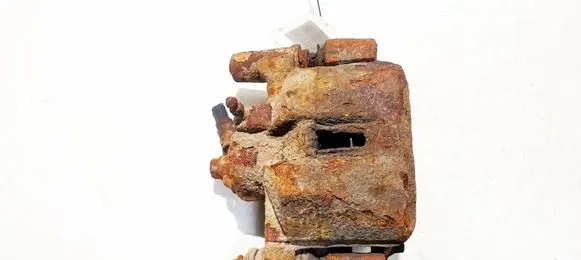 Lexus RX 300 Rear brake caliper