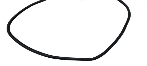 Ford Edge II Front door rubber seal