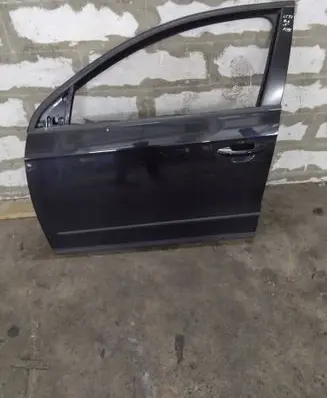 Volkswagen PASSAT B6 Front door