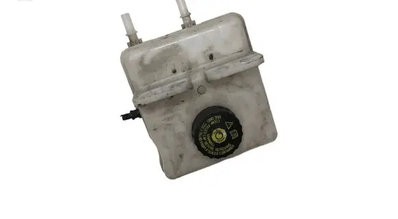 Renault Zoe Brake fluid reservoir 0204720666