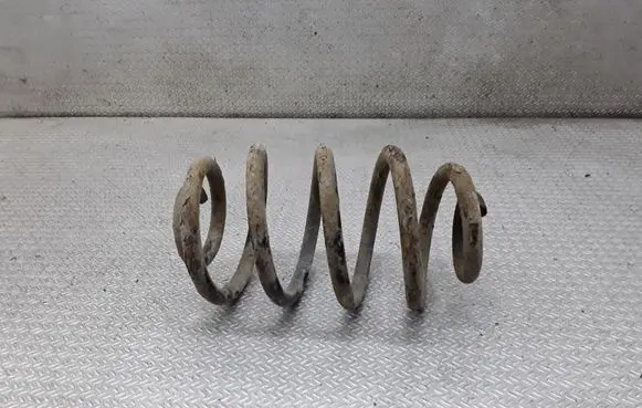 Rear coil spring