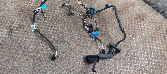 Volkswagen Tiguan Allspace Front door wiring loom 5NN971121AH