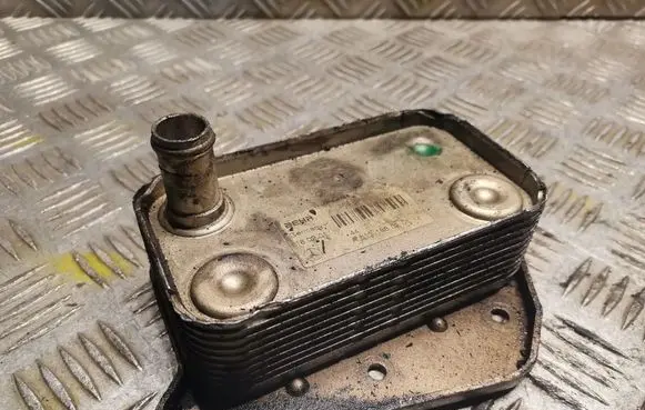 Mercedes-Benz S W220 Gearbox / Transmission oil cooler 6131880201