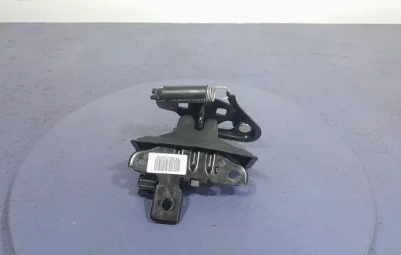 Ford Mustang I Tailgate/trunk/boot lock/catch/latch FR3B-6343282-CB