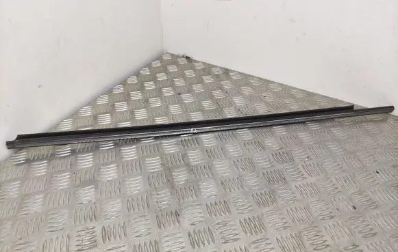 Front door glass trim molding