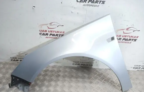 Opel Insignia A Fender