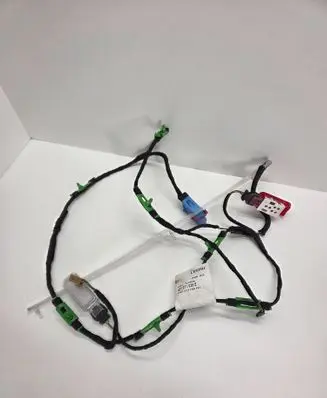 Front door wiring loom