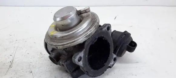Volkswagen Golf IV Throttle valve 038131501E 41999