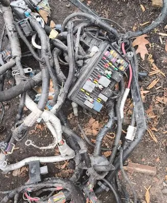 Chevrolet Corvette C6 Other wiring loom 15924969
